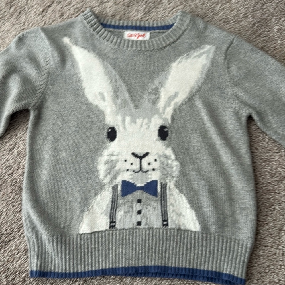 Boys Easter bunny sweater 2T
